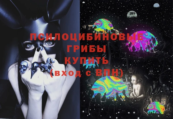 дмт Арсеньев