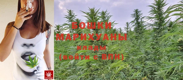 гидра Аркадак