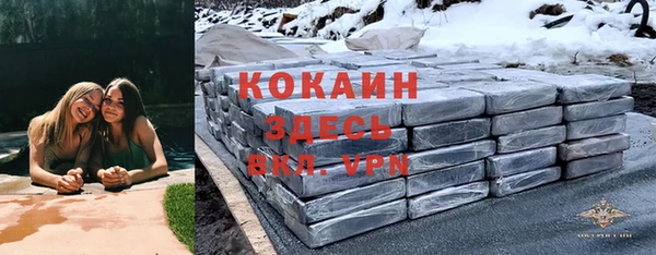 дмт Арсеньев