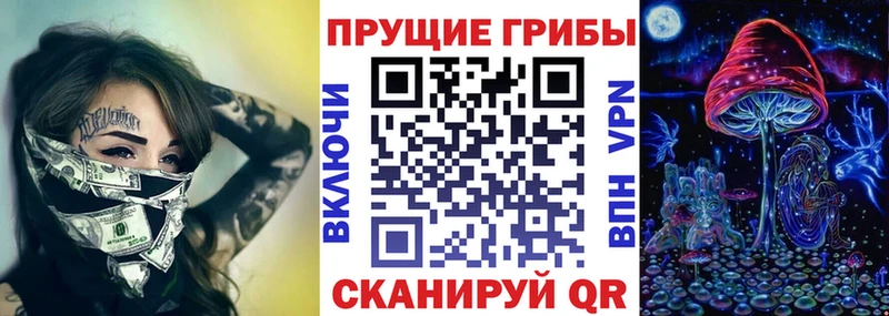 Галлюциногенные грибы GOLDEN TEACHER  Купить  Николаевск 