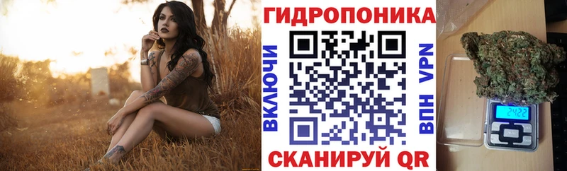 Купить где Николаевск Каннабис сатива